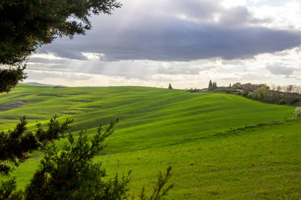 Green Fields Hills Tuscany — Stock Photo, Image