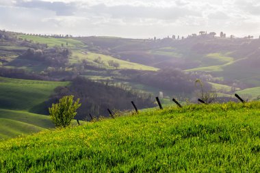 Toskana Girit Senesi yeşil alanlar ve tepeler