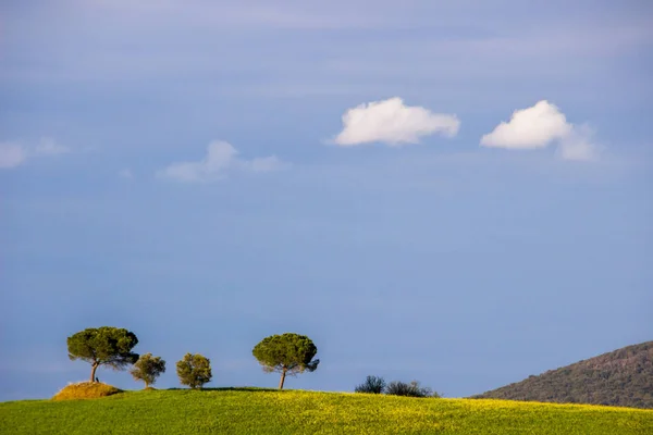 Groene Velden Heuvels Kreta Senesi Toscane — Stockfoto