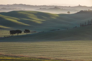 Toskana'da tarlalar ve tepeler üzerinde gündoğumu ve sis