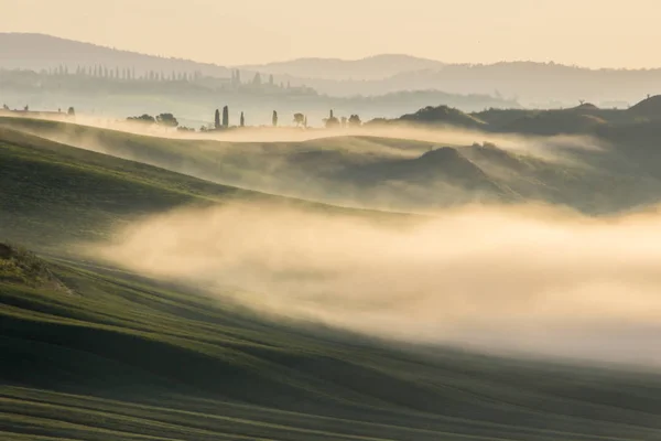 Рассвет Туман Над Полями Холмами Тосканы — стоковое фото