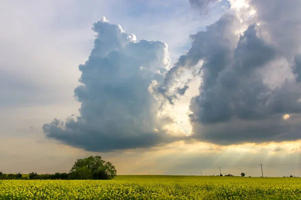 Paisagem Rural Com Nuvens Sobre Campo Estupro — Fotografia de Stock