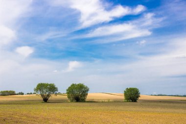 bir alan üzerinde bulutlar ile kırsal manzara 