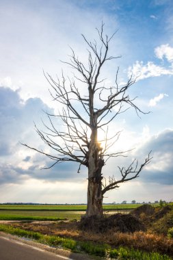 bir alan üzerinde bulutlar ile kırsal manzara 