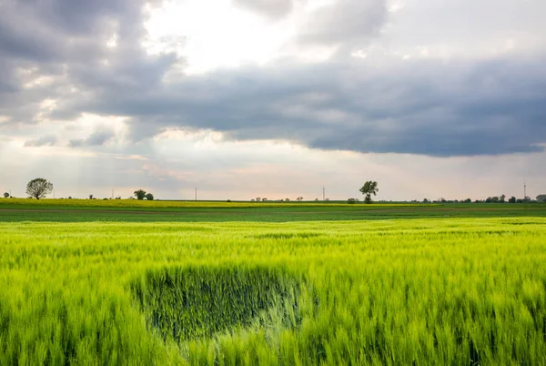 Paisagem Rural Com Nuvens Sobre Campo — Fotografia de Stock