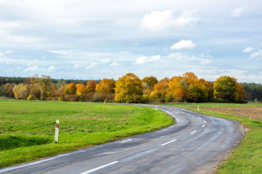 Renkli sonbahar ağaçları arasında orman yolu
