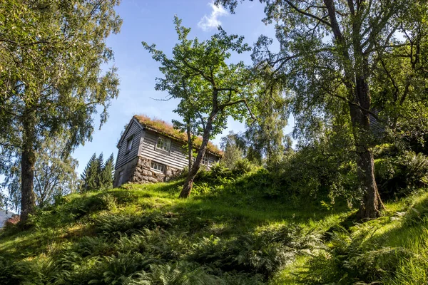 Дерев Яні Будинки Старому Селі Норвегії — стокове фото