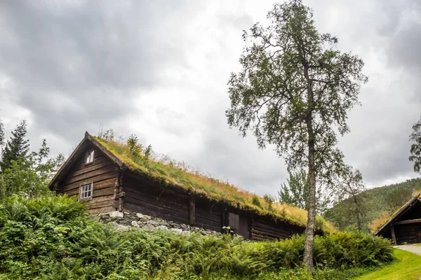 Дерев Яні Хатинки Селі Штальгейм Норвегія — стокове фото