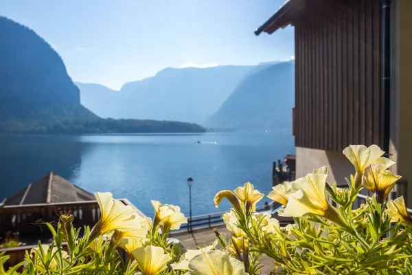 Morgon Hallstatt Vid Sjön Halstattersee Österrike — Stockfoto