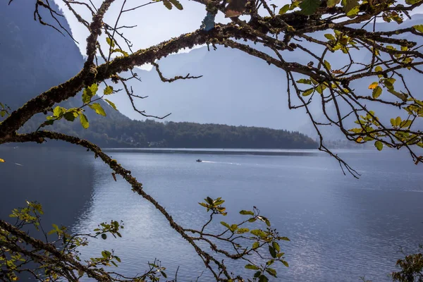 Reggel Hallstattban Halstattersee Tónál Ausztriában — Stock Fotó