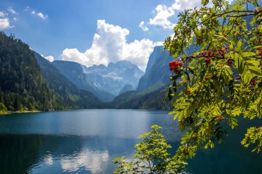 Avusturya Alplerindeki Vorderer Gosausee gölünde güneşli bir gün.