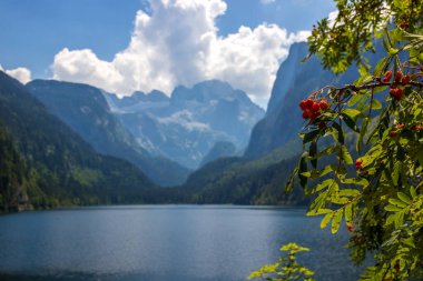 Avusturya Alplerindeki Vorderer Gosausee gölünde güneşli bir gün.