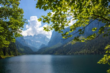 Avusturya Alplerindeki Vorderer Gosausee gölünde güneşli bir gün.