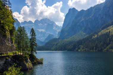 Avusturya Alplerindeki Vorderer Gosausee gölünde güneşli bir gün.