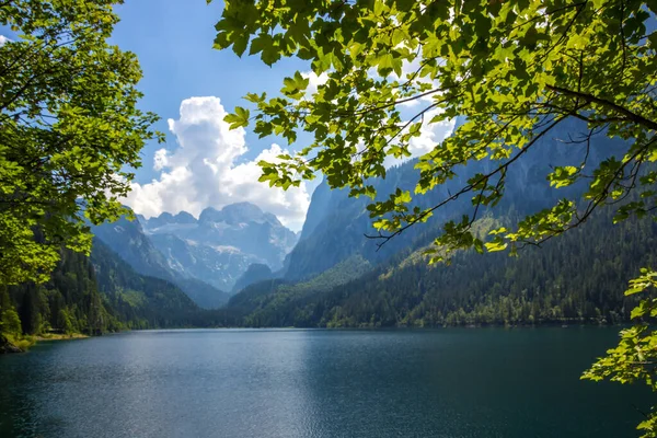 Avusturya Alplerindeki Vorderer Gosausee gölünde güneşli bir gün.