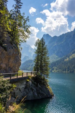 Avusturya Alplerindeki Vorderer Gosausee gölünde güneşli bir gün.