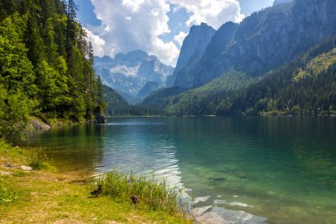 Avusturya Alplerindeki Vorderer Gosausee gölünde güneşli bir gün.