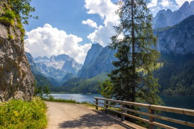 Avusturya Alplerindeki Vorderer Gosausee gölünde güneşli bir gün.