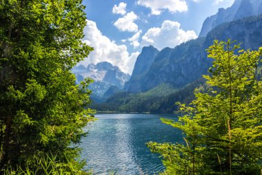 Avusturya Alplerindeki Vorderer Gosausee gölünde güneşli bir gün.