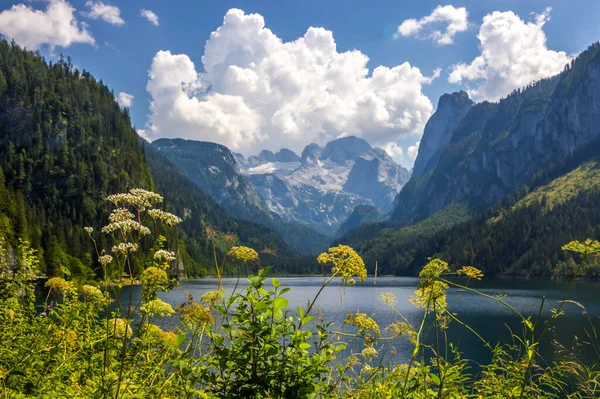 Dia Ensolarado Lago Vorderer Gosausee Áustria — Fotografia de Stock