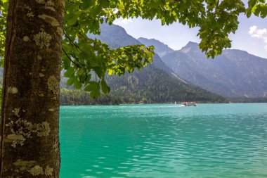 Avusturya Alplerindeki Turkuaz Göl Plansee 'de güneşli bir gün.