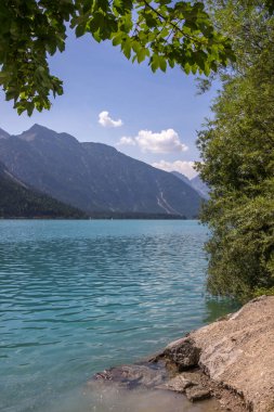 Avusturya Alplerindeki Turkuaz Göl Plansee 'de güneşli bir gün.