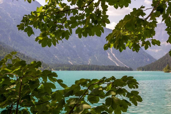 Avusturya Alplerindeki Turkuaz Göl Plansee Güneşli Bir Gün — Stok fotoğraf