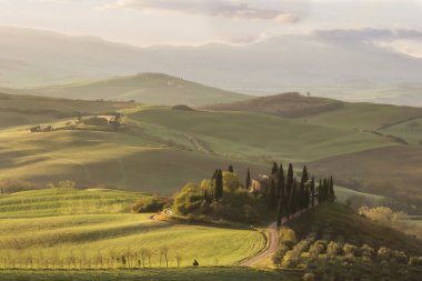 Tuscany 'deki Val d' Orcia 'nın yeşil tarlalarının üzerinde bahar güneşi doğuyor.