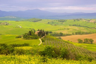 Tuscany 'deki Val d' Orcia 'nın yeşil tarlalarının üzerinde bahar güneşi doğuyor.