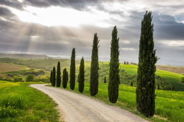 Tuscany 'deki Val d' Orcia 'nın yeşil tarlalarının üzerinde bahar güneşi doğuyor.