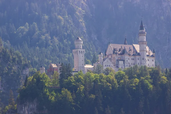 Prados Castelo Neuschwanstein Alemanha Dia Ensolarado — Fotografia de Stock