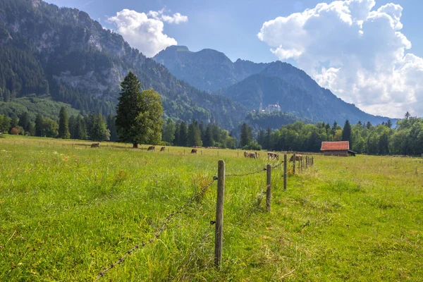 Prados Castillo Neuschwanstein Alemania Día Soleado — Foto de Stock