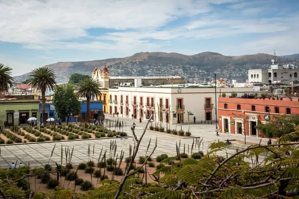 Oaxaca de Juarez, Oaxaca, Meksika bir kare kaktüs bahçeleri