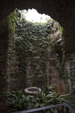 Çalılar ile terk edilmiş binada