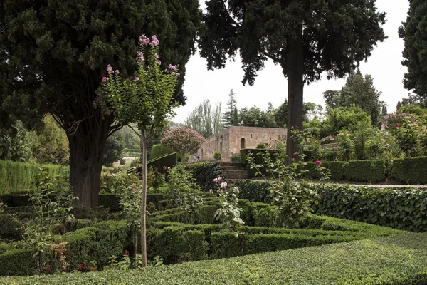 Alhambra Palace Green Garden — Stock Photo, Image