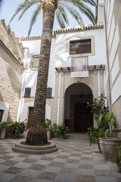 Arquitetura Encantadora do Palácio de Alhambra — Fotografia de Stock