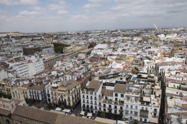 Şehir Manzaralı Katedrali