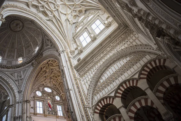 Catedral de Córdoba — Foto de Stock