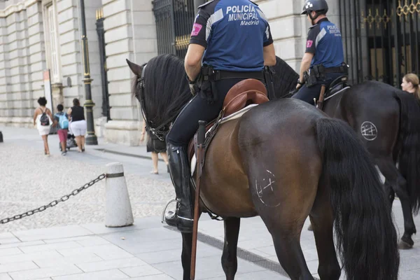 Polis atı monte — Stok fotoğraf