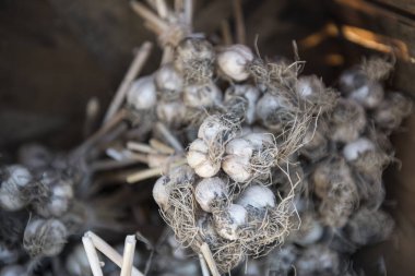 taze sebzeler ve meyveler