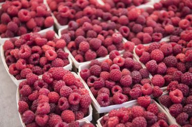 taze sebzeler ve meyveler