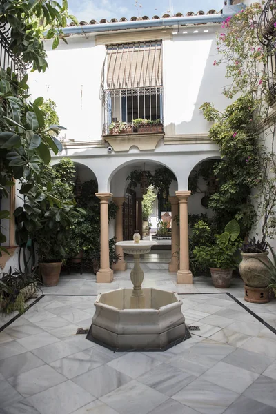 Alcazar di seville — Foto Stock