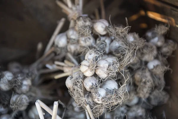 taze sebzeler ve meyveler