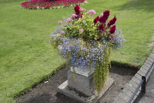 Garden At Local House — Stock Photo, Image