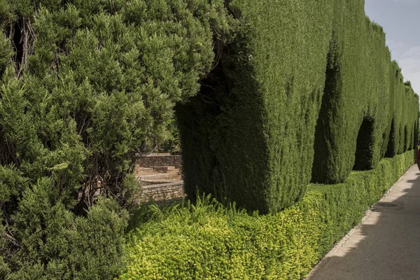 Видом на сад в Alhambra Palace — стокове фото