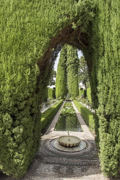 Vue sur le jardin au palais de l'Alhambra — Photo