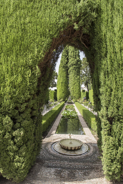 Garden View in Alhambra Palace