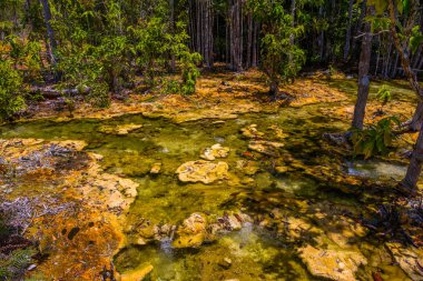 Zümrüt havuzu, Yosemite Milli Parkı, Krabi, Tayland, Thailand, Kuru nehir çöl taşlı ormandaki