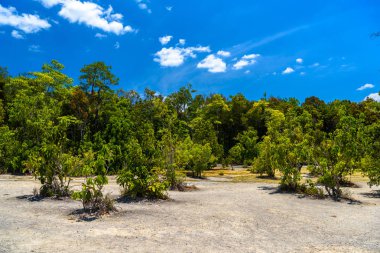 Zümrüt havuzu, Yosemite Milli Parkı, Krabi, Tayland, Thailand, Tress taşlı çöl ormandaki
