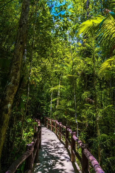 Emerald Pool Yosemite National Park Krabi Thailand Wooden Path Trough — Stock Photo, Image